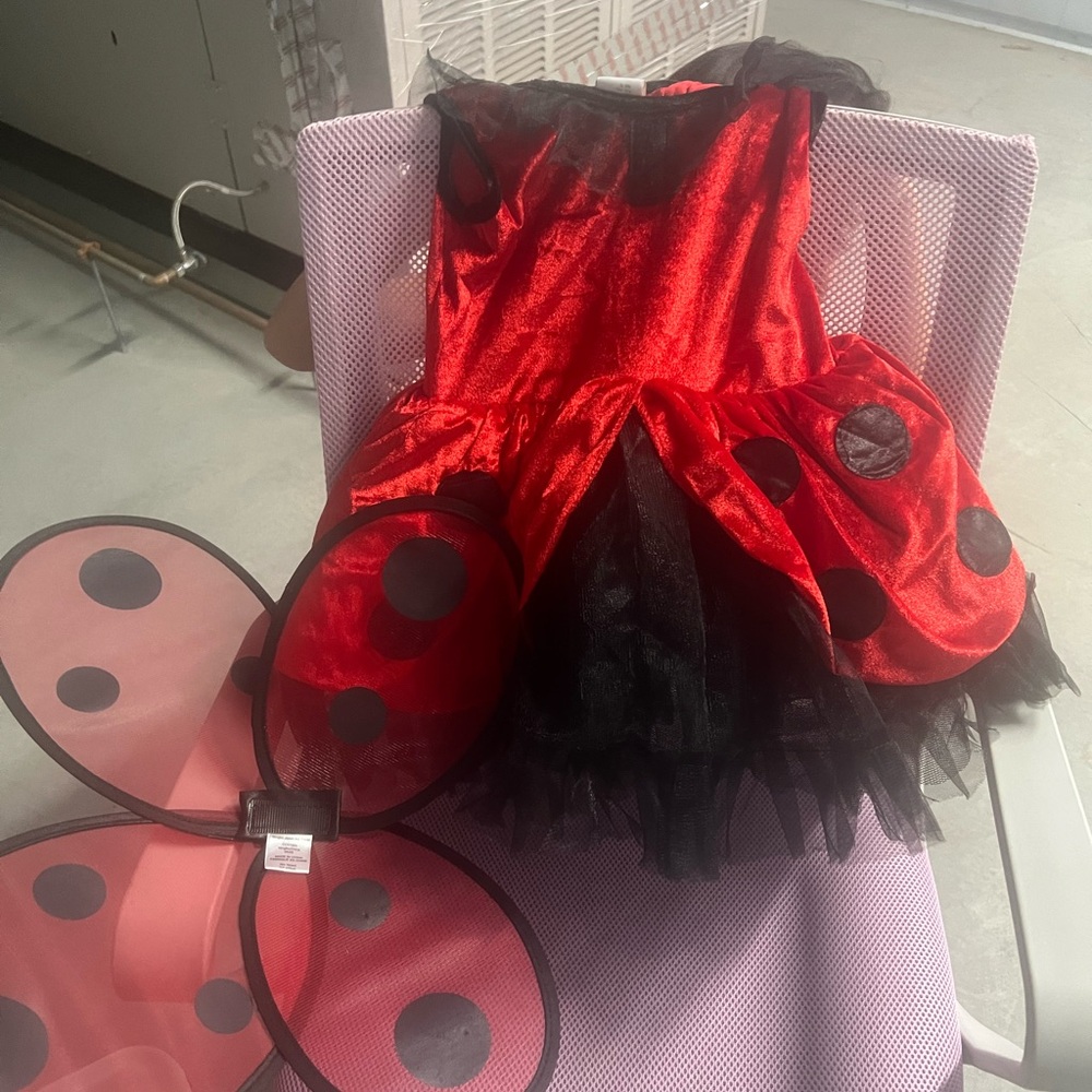 Ladybug Kids Costume - Red and Black